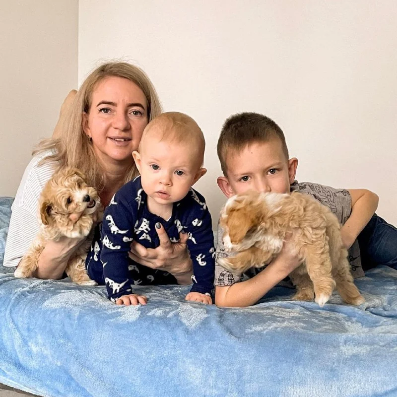 Hearts & Family Cuddlers family raising puppies at home